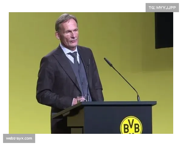 德甲商业收入增速放缓,瓦茨克呼吁创新转播模式